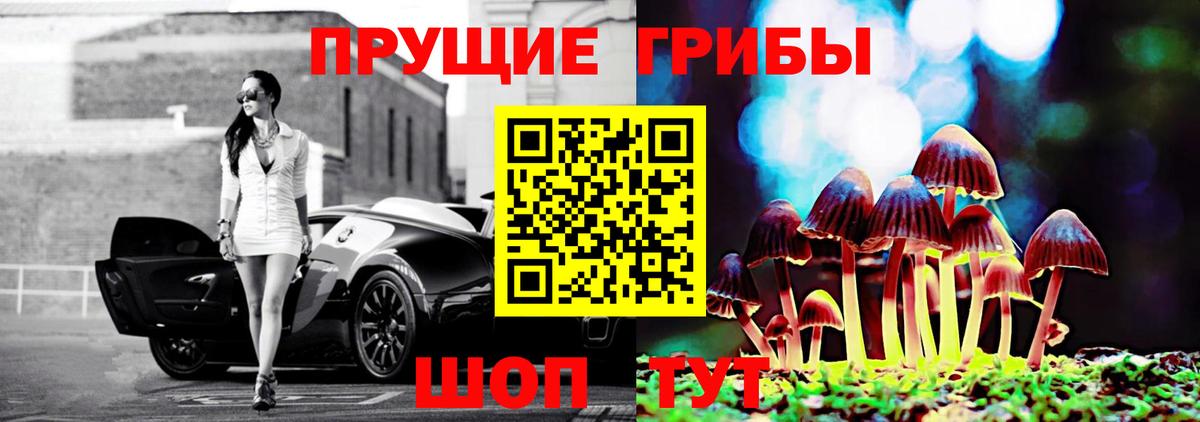 Псилоцибиновые грибы Psilocybe  Вход с VPN  Галлюциногенные грибы MAGIC MUSHROOMS  Знаменск 